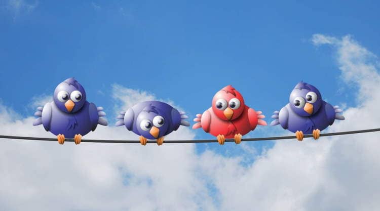 Everyone is perfect is a feature of uniqueness - four birds sitting on a line, three are blue and one of them is red.