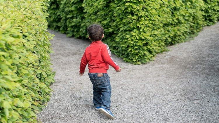 Child standing at the crossroads