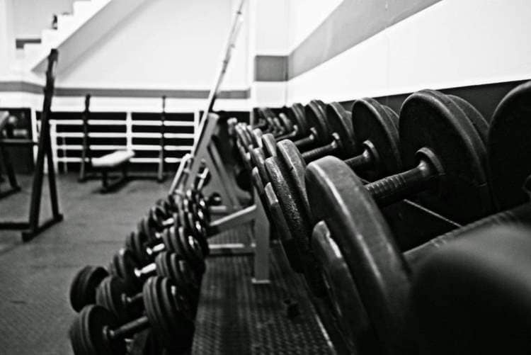 A row of dumbbells in the gym.